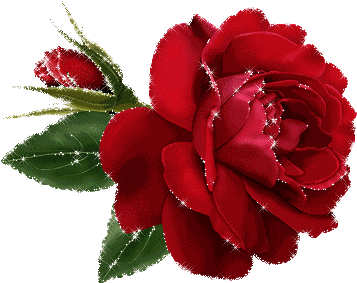 rose188.gif